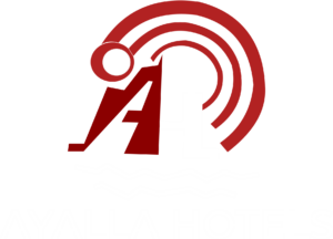 ayalla logo web